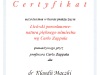 Certyfikat czestnictwa w kursie praktycznym